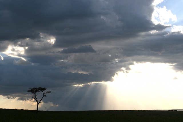Paysage du Kenya (Masai Mara).